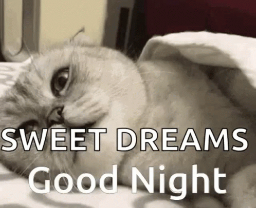 Sweet Dreams Chunky Cat GIF