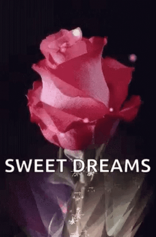 Sweet Dreams Pink Rose GIF