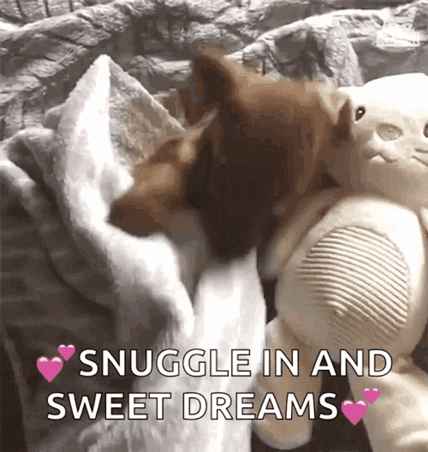 Sweet Dreams Puppy Snuggle GIF
