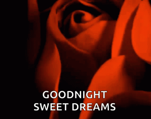 Sweet Dreams Red Rose GIF