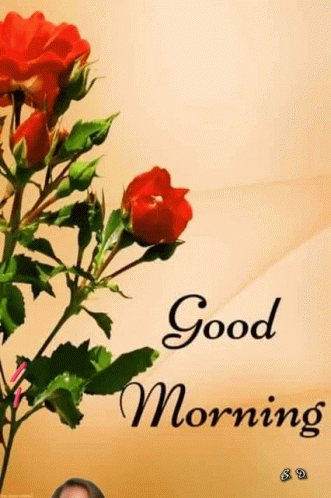 Sweet Good Morning Girl Floating GIF