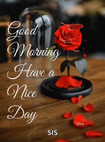 Sweet Good Morning Have A Nice Day Sis GIF