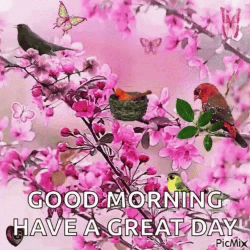 Sweet Good Morning 498 X 498 Gif GIF