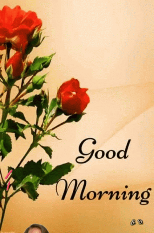 Sweet Good Morning Girl Floating GIF