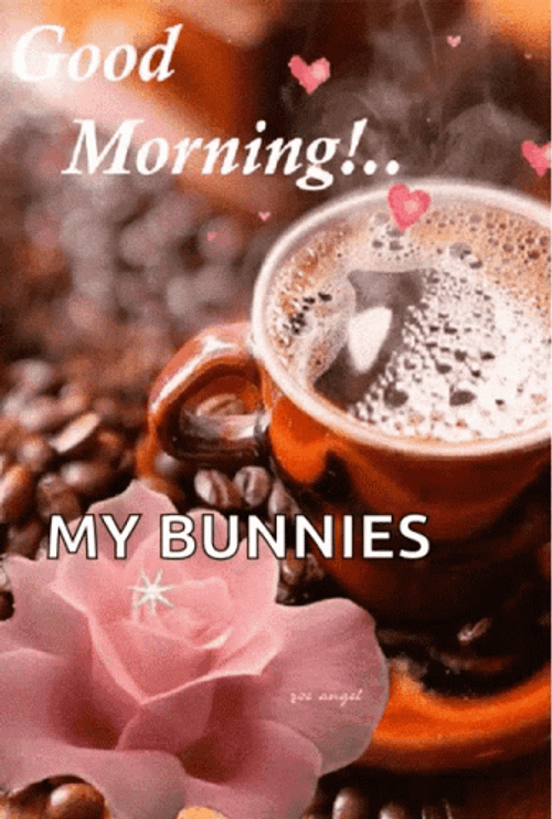 Sweet Good Morning My Bunnies GIF