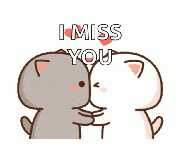 Sweet Love Cats I Miss You GIF 