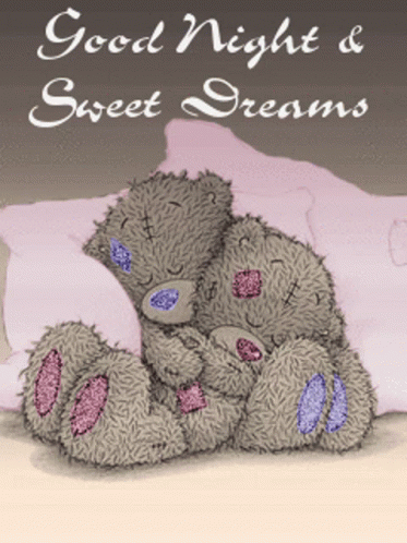 Sweet Sleeping Hugging Bears Dobranoc GIF