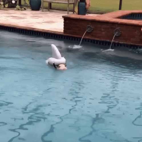 Swim In The Pool Piglet GIF