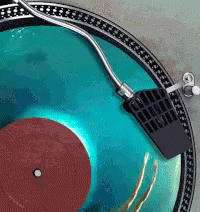 Swimming On Vinyl Broken Record GIF