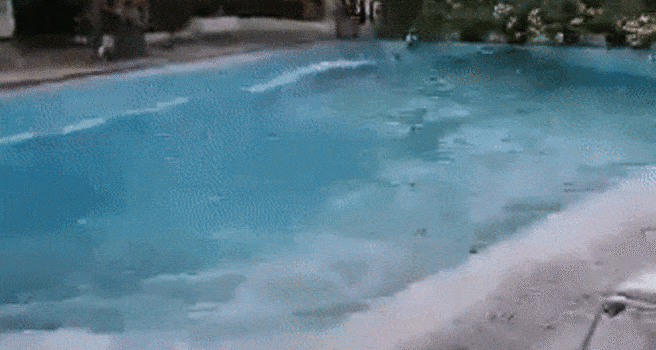 Swimming Pool Got Swayed By Earthquake GIF