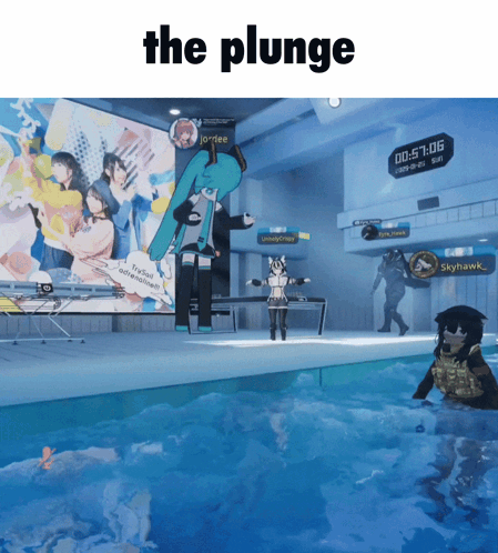 Swimming Pool With The Plunge Sign