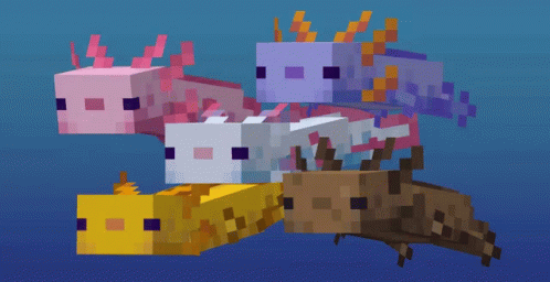 Swimming Together Axolotl Meme GIF