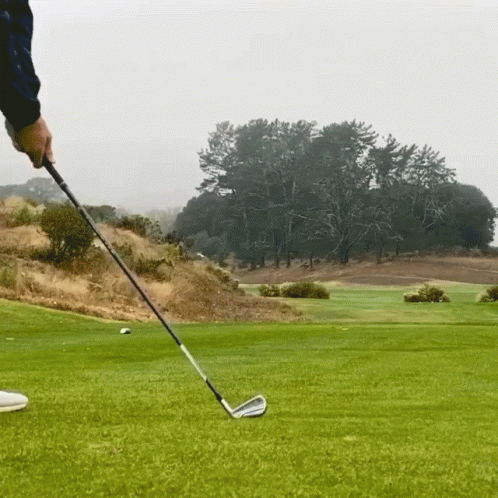 Swing Towards Forest Of Golf Course GIF
