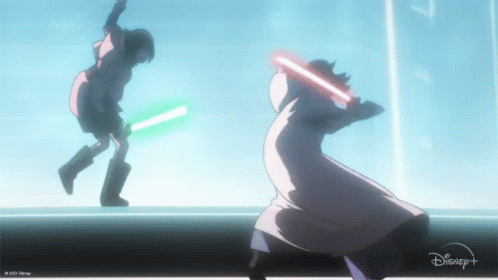 Sword Fight Anime Akame Vs Kurome GIF