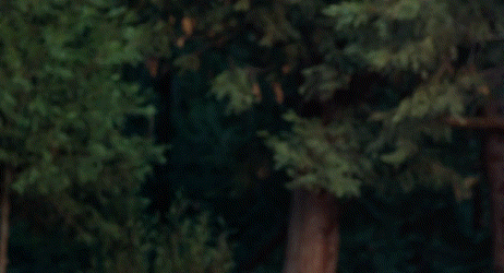 Sword Fight Fencing Battle GIF