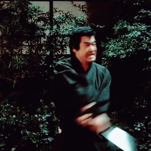 Sword Fight Fujioka Hiroshi Japanese GIF