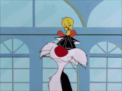Sylvester And Tweety From The Looney Tunes Cartoon GIF