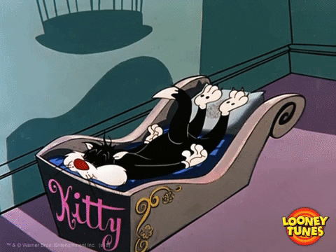 Sylvester From Looney Tunes Having Nightmare GIF