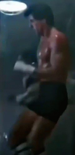 Sylvester Stallone Rocky Balboa Training GIF