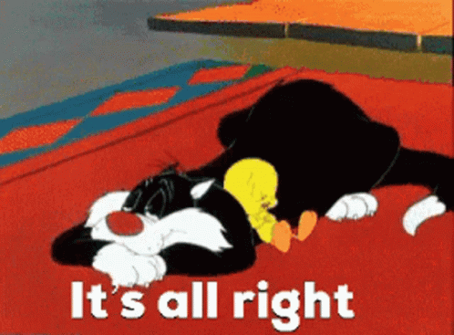 Sylvester The Cat And Tweety Bird Its Ok GIF