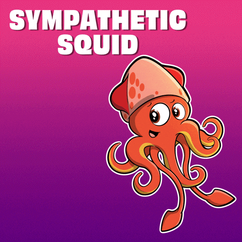 Sympathetic Squid Illustration GIF