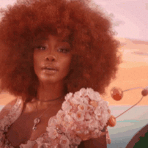 Sza Amazing Ginger Afro Pose GIF