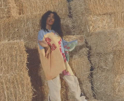 Sza Dancing In Haystack Music Video GIF