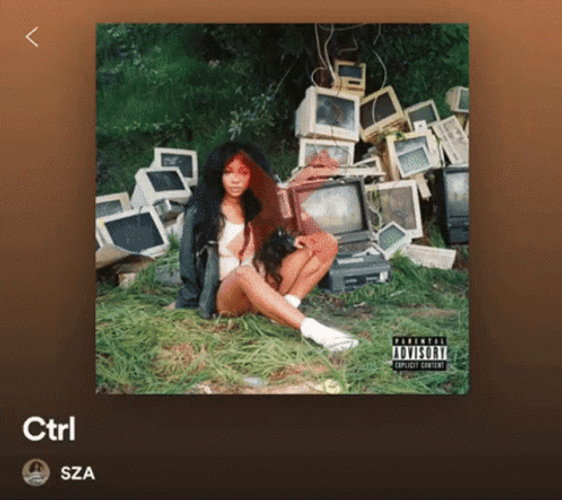 Sza Solána Imani Rowe Profile Pictures Assessed GIF