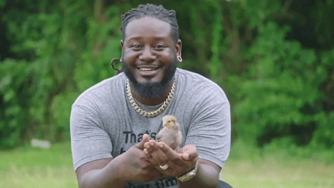 T Pain With Chick In His Hands GIF