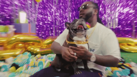 T Pain With Cute Dog GIF