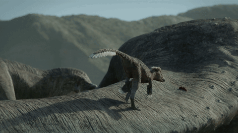 T-rex Take Care GIF