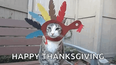 Tabby Cat Animated Happy Thanksgiving GIF