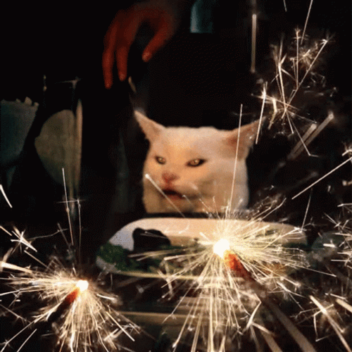 Table Cat Meme Fireworks GIF
