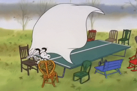 Table Preparation Peanuts Snoopy Thanksgiving GIF
