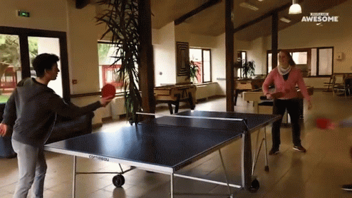 Table Tennis Man Awesome Exhibition GIF