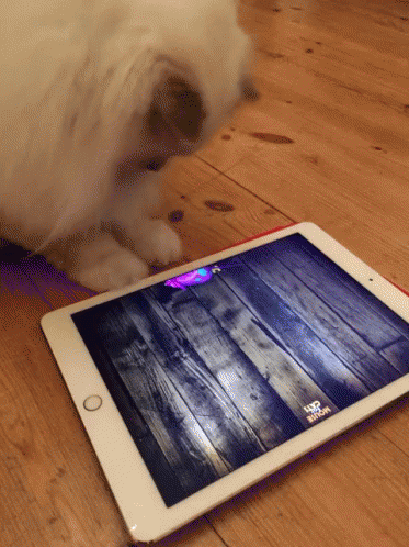 Tablet With Wooden Floor and VR Show