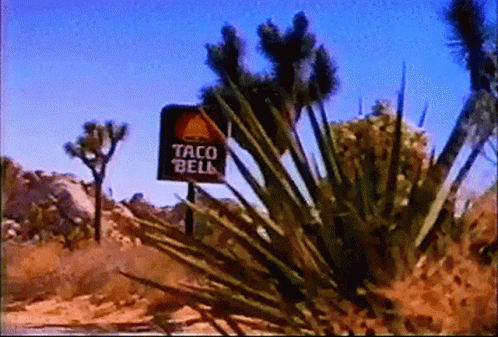 Taco Bell Signage GIF