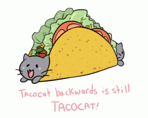 Taco Cat Backward Is Still Funny Taco Tuesday GIF