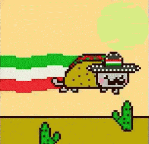 Taco Cat Over The Cactuses Poptart Cat GIF