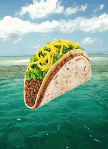 Taco In The Ocean GIF