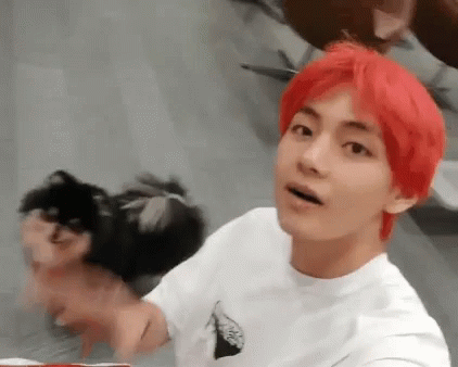 Taehyung Waving Hi GIF