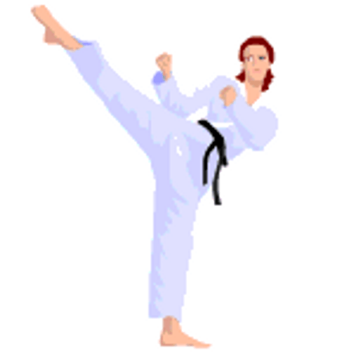 Taekwondo Karate Kick GIF