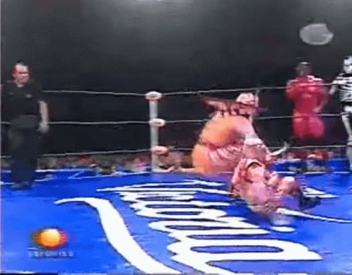 Tag Team Tage Red Bo Rolling Celebration GIF
