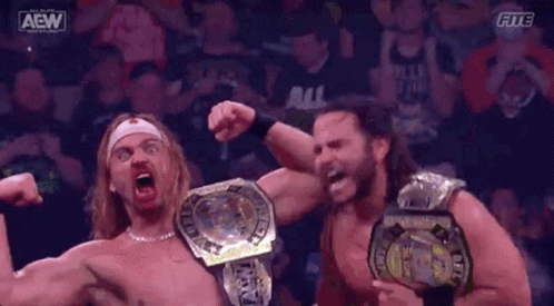 Tag Team The Young Bucks Wrestlers GIF