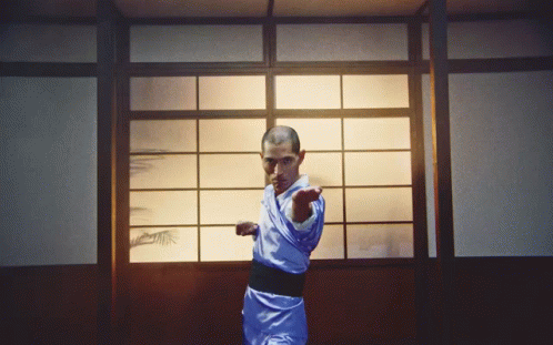Tai Chi Kung Fu GIF