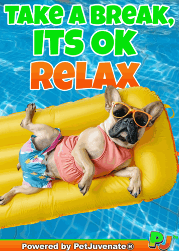 Take a Break Dog Poster