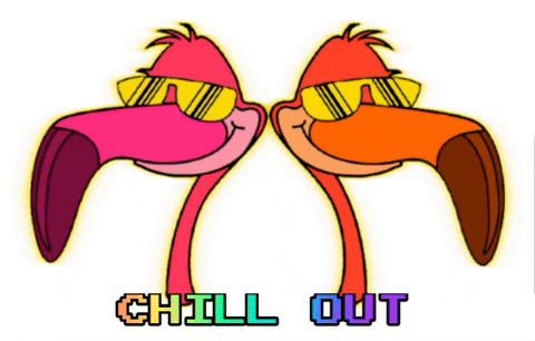Take A Break Flamingos Wearing Sunglasses GIF