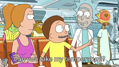 Take My Temperature Rick Morty Summer GIF