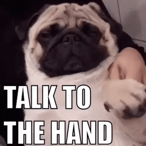 Talk To The Hand Meme