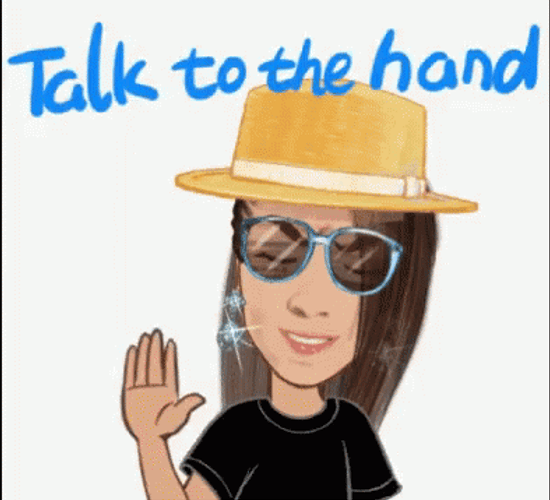 Talk To The Hand Sis GIF